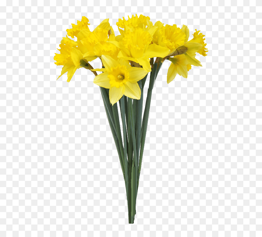 Vase Daffodil Flower Stock Photography - Flower Bouquet Transparent  Background, HD Png Download - 620x743(#6716526) - PngFind