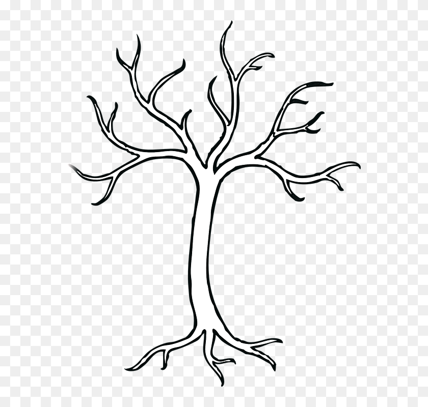 Resultado De Imagen Para Arbol Con Ramas El Cuerpo - Tree With 5 Branches,  HD Png Download - 576x720(#6739981) - PngFind