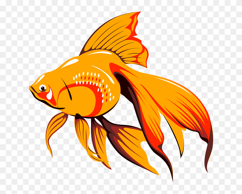 Fish Clip Arts - Copyright Free Gold Fish Cartoon, HD Png Download -  640x592(#6741205) - PngFind