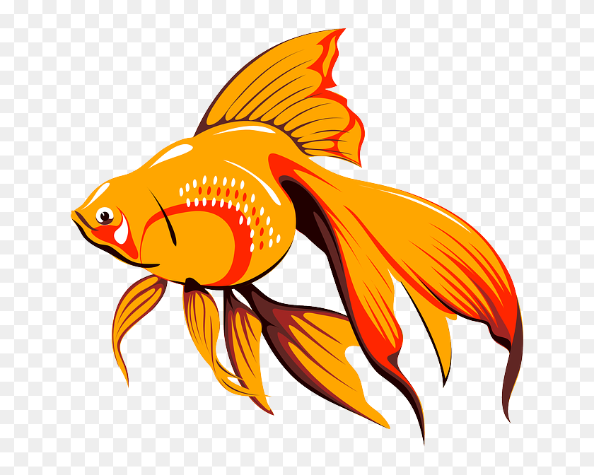 Fish Clip Arts - Copyright Free Gold Fish Cartoon, HD Png Download - 640x592(#6741205) - PngFind Fish Clip Arts - Copyright Free Gold Fish Cartoon, HD Png Download - 640x592(#6741205) - PngFind