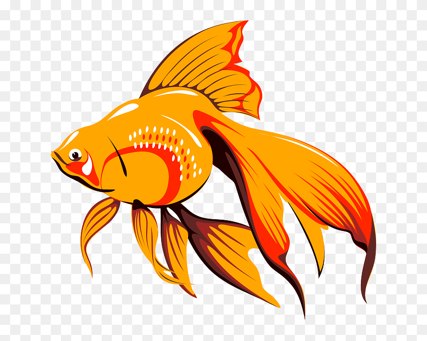 Download Fish Clip Arts Copyright Free Gold Fish Cartoon Hd Png Download 640x592 6741205 Pngfind