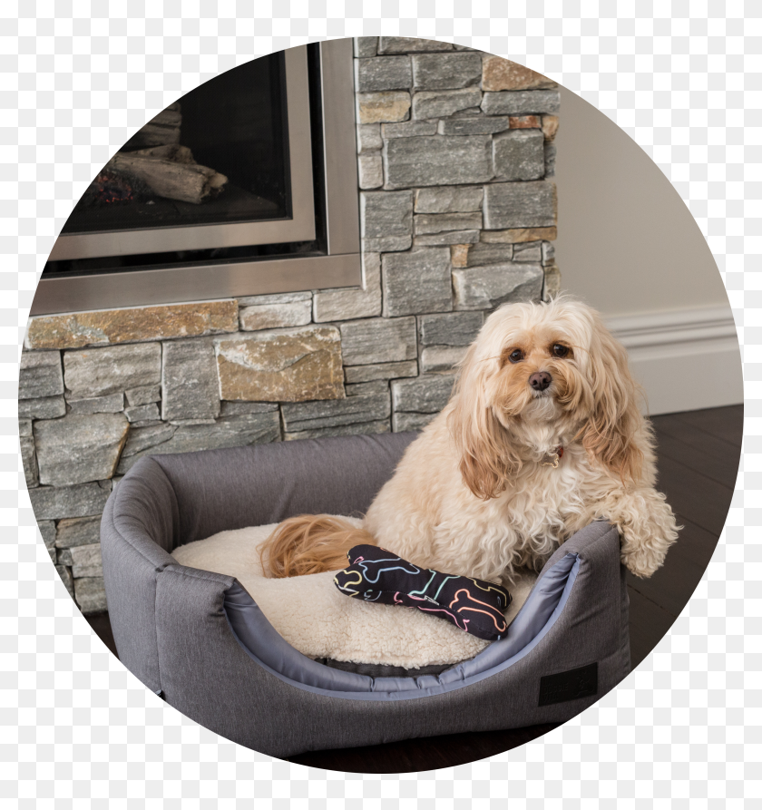 la doggie vita plush donut large