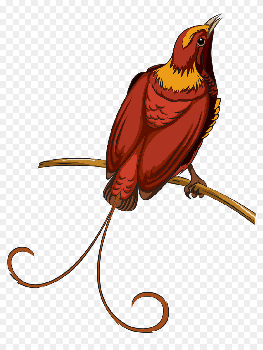 Songbird, HD Png Download - 1009x1280(#6762180) - PngFind