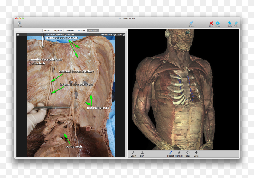 Medical Education Software, HD Png Download - 1509x992(#6776707) - PngFind