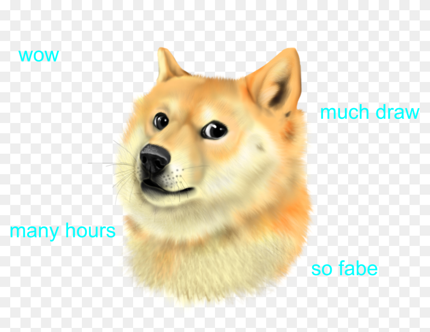 Transparent Mlg Doge Png - Doge Much Wow Transparent, Png Download ...