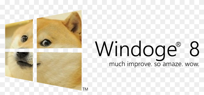 Windoge 11 - By the year 2000 microshibe launched windoge 1.0 and the ...