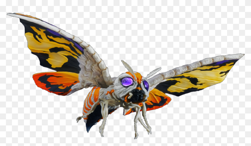 Mothra Transparent, HD Png Download - 1000x530(#6783905) - PngFind