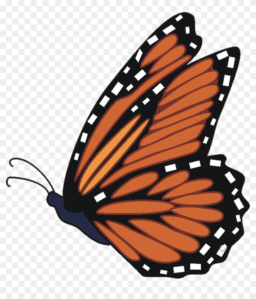 Butterfly Monarch Clipart Transparent Png - Flying Monarch Butterfly Clipart,  Png Download - 824x900(#6786096) - PngFind