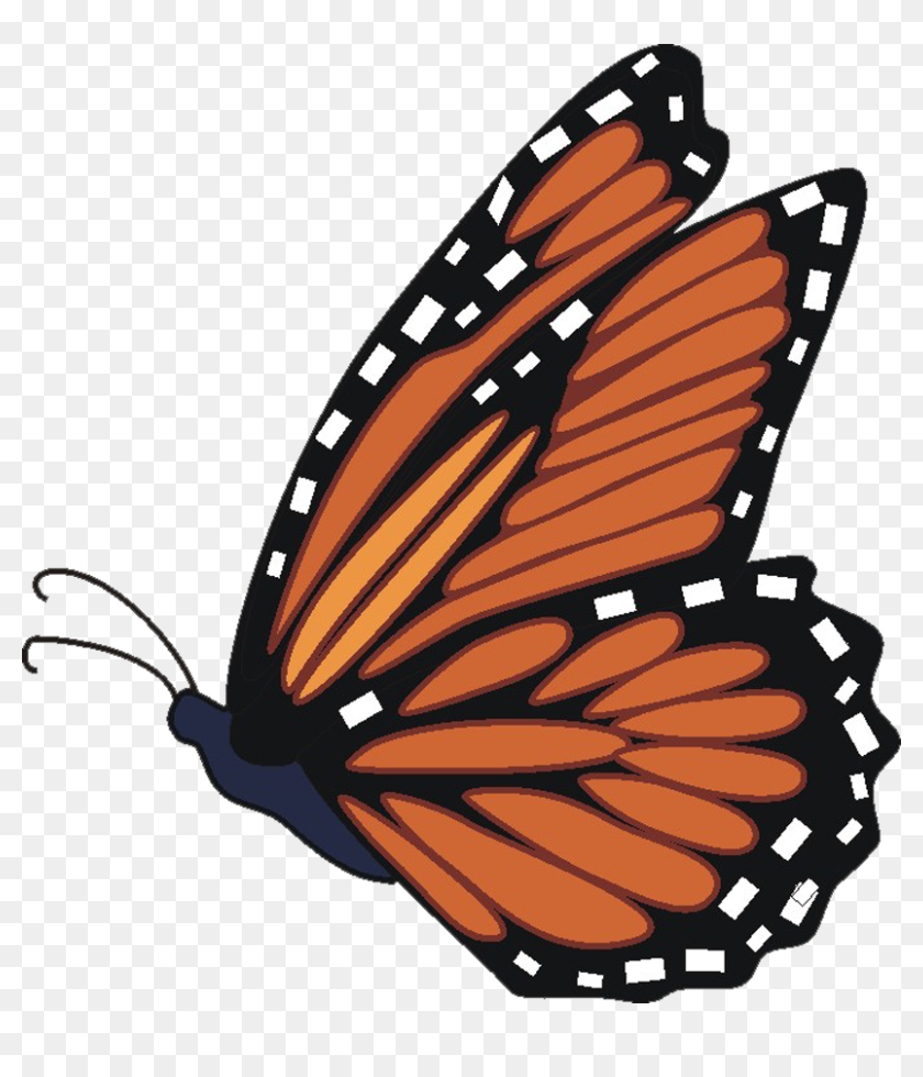 Butterfly Monarch Clipart Transparent Png - Flying Monarch Butterfly  Clipart, Png Download - 824x900(#6786096) - PngFind