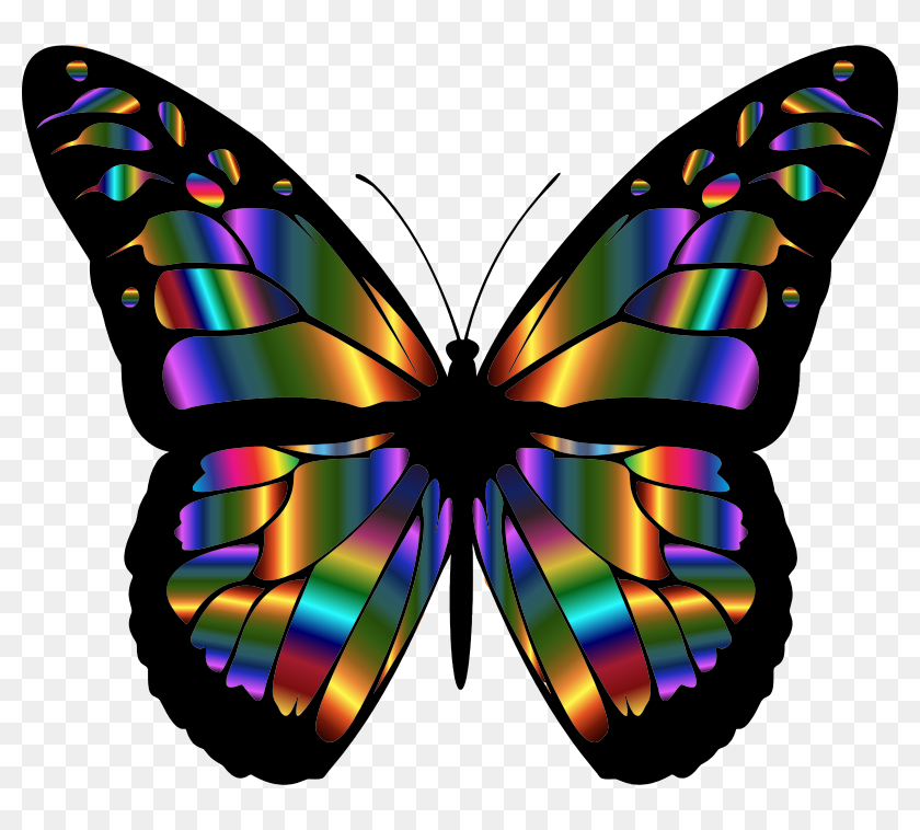 Colorful Butterfly Wings Png, Transparent Png - 800x678 ...