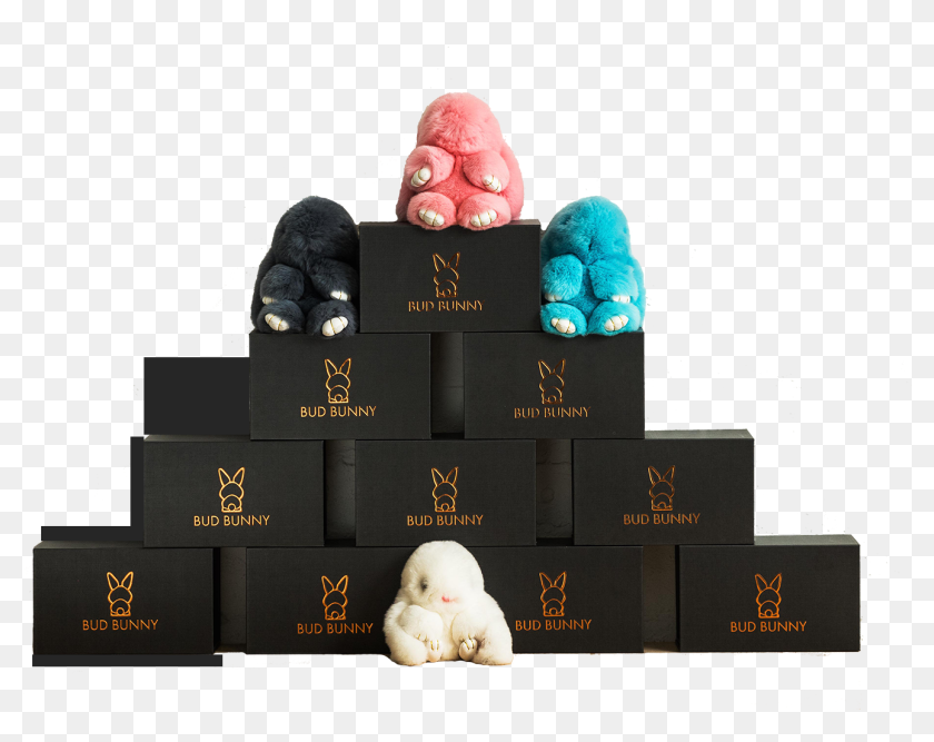 Bunny Tail Png, Transparent Png - 1600x1067(#6787015) - PngFind