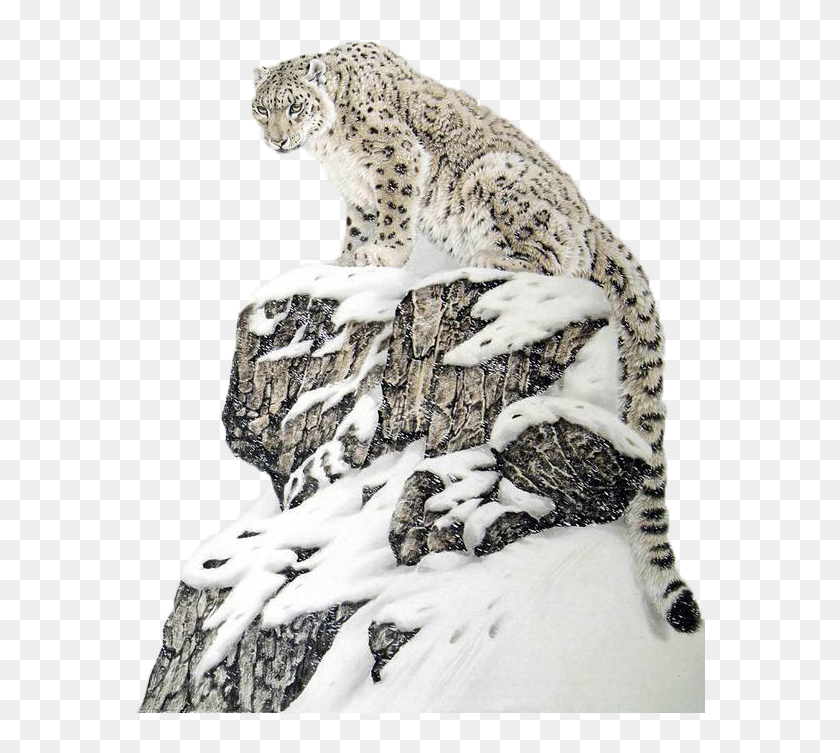 Free Free 214 Snow Leopard Print Svg SVG PNG EPS DXF File