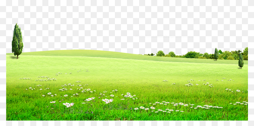 Grass Background Png - Nature Green Background Png, Transparent Png -  2001x901(#6799301) - PngFind