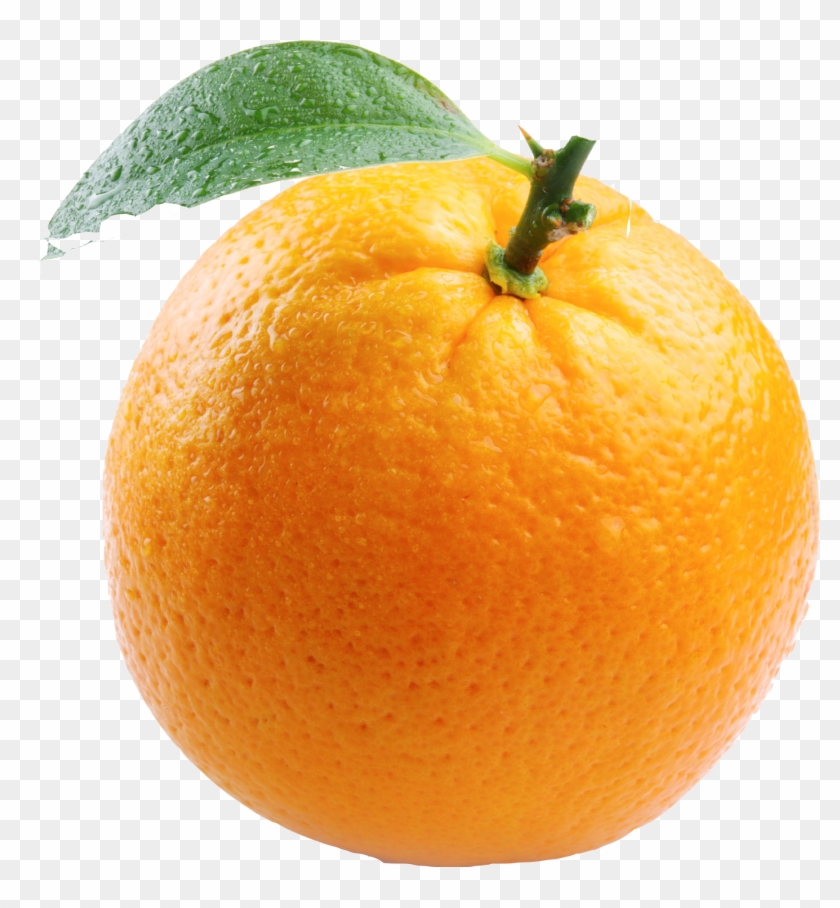 Download 440 Background Orange Fruit Hd Gratis Terbaru
