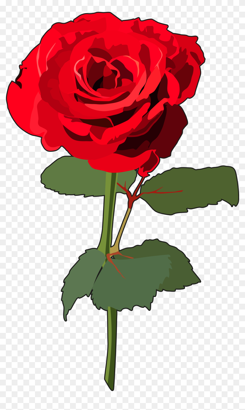 Transparent Rosas Png - Rosa Con Tallo Png, Png Download - 1980x3216(#6817064) - PngFind Transparent Rosas Png - Rosa Con Tallo Png, Png Download - 1980x3216(#6817064) - PngFind