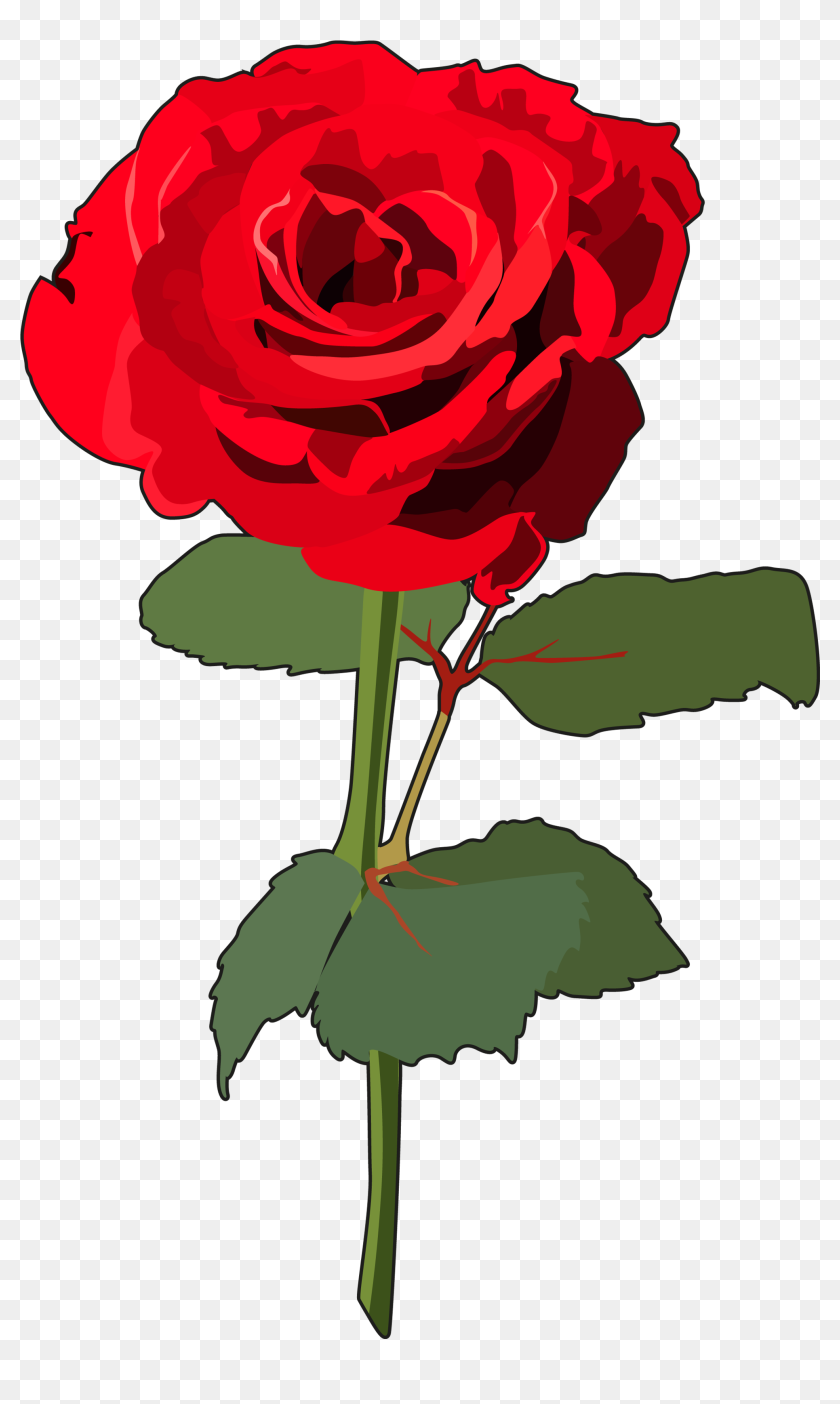 Transparent Rosas Png - Rosa Con Tallo Png, Png Download -  1980x3216(#6817064) - PngFind