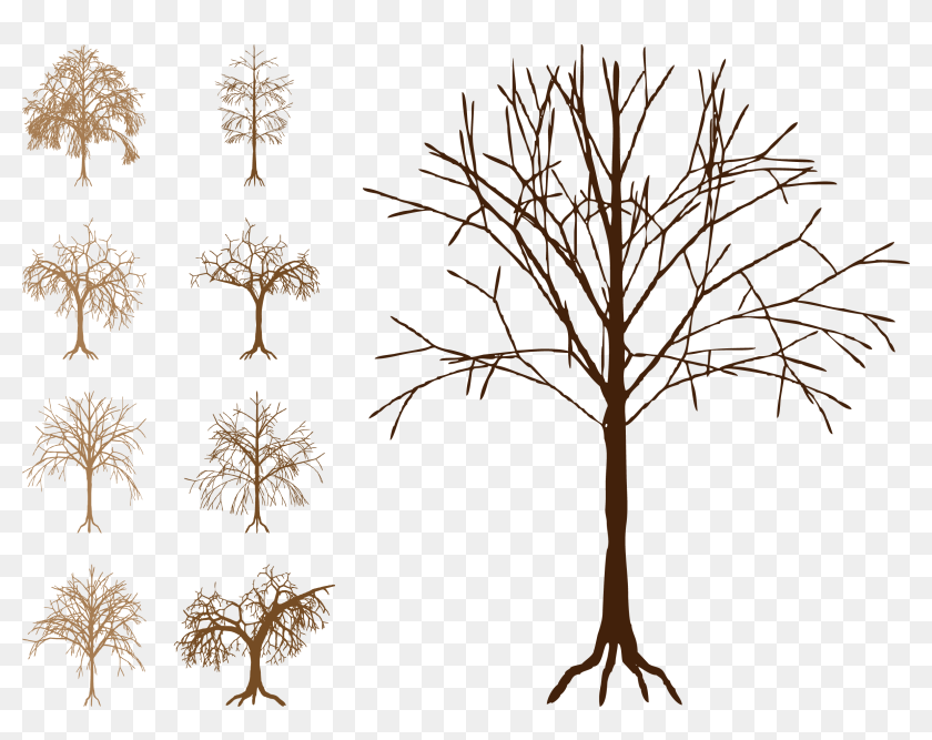Silhouette Tree Trunk Clip Art - Silhouette Tree Vector Free, HD Png