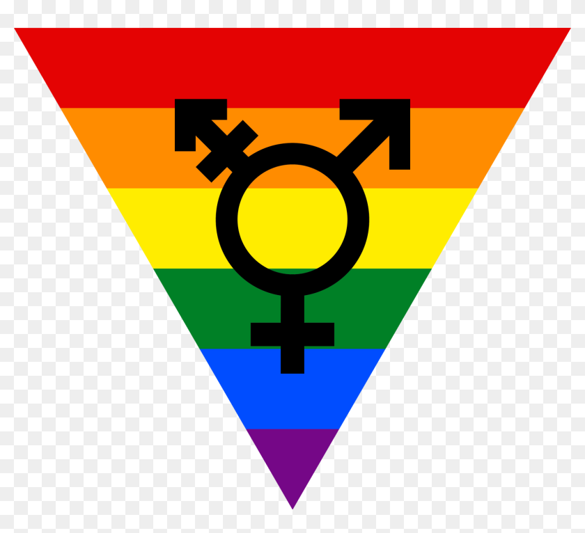 Transparent Lesbian Symbol Png Transgender Symbol Png Download 1337x1157 6824334 Pngfind