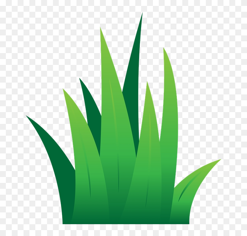 Grass Lawn Clipart Leaves Green Transparent Png - Cartoon Grass Vector Png,  Png Download - 880x800(#6825002) - PngFind