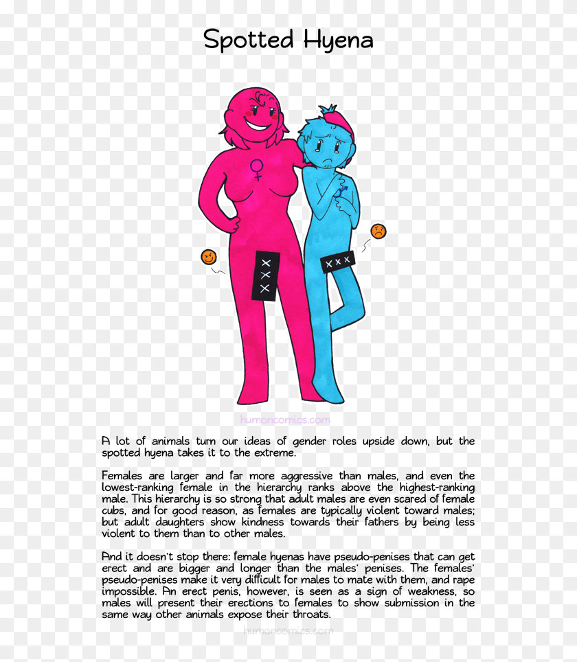 Spotted Hyena Humoncomics - Animal Mating Habits, HD Png Download - 545x884(#6826731) - PngFind Spotted Hyena Humoncomics - Animal Mating Habits, HD Png Download - 545x884(#6826731) - PngFind