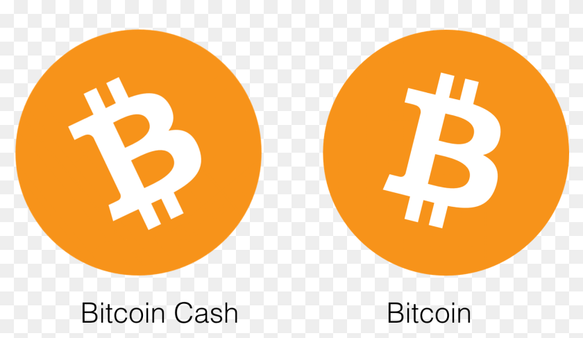 Transparent Bitcoin Logo Png Bitcoin Logo Vs Bitcoin Cash Logo Png Download 1428x761 6836306 Pngfind