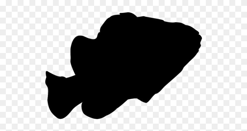 Finding Nemo Png Transparent Images Desenho Suino Png Png Download 934x534 Pngfind