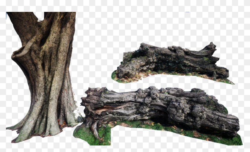 Tronco de árbol falso PNG transparente - StickPNG