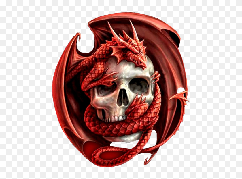Dragon Skull Png Skull And Dragon Png Transparent Png 800x600 6863123 Pngfind