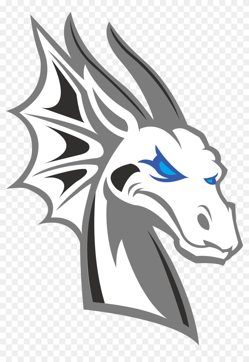 Team Ice Must Have This Shirt - Ice Dragon Head Png, Transparent Png -  4500x5400(#6863127) - PngFind