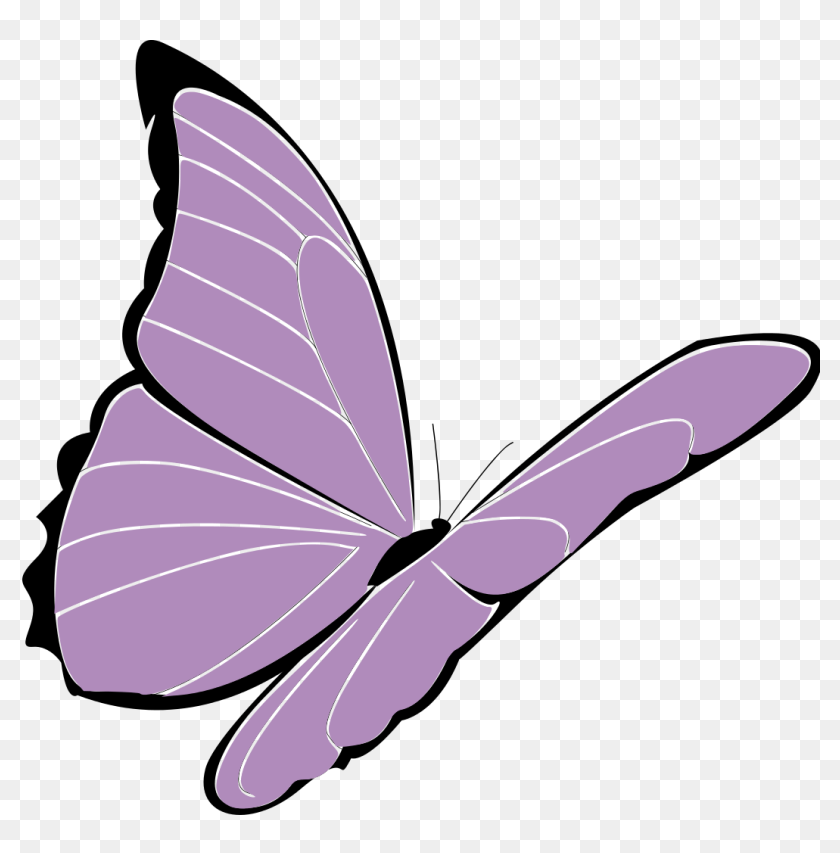 Purple Butterfly Png Transparent, Png Download - 1057x1024(#6875919) -  PngFind