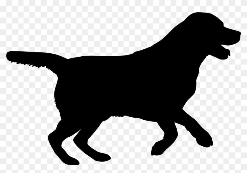 Labrador Retriever Puppy Silhouette Dog Breed Cat Puppy Silhouette Hd Png Download 929x640 6878592 Pngfind