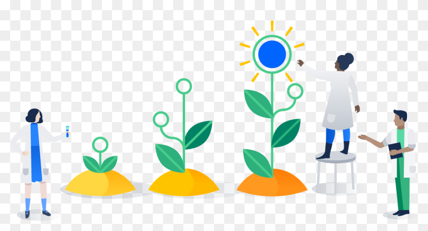 Growing Plants, HD Png Download - 1140x562(#6881868) - PngFind