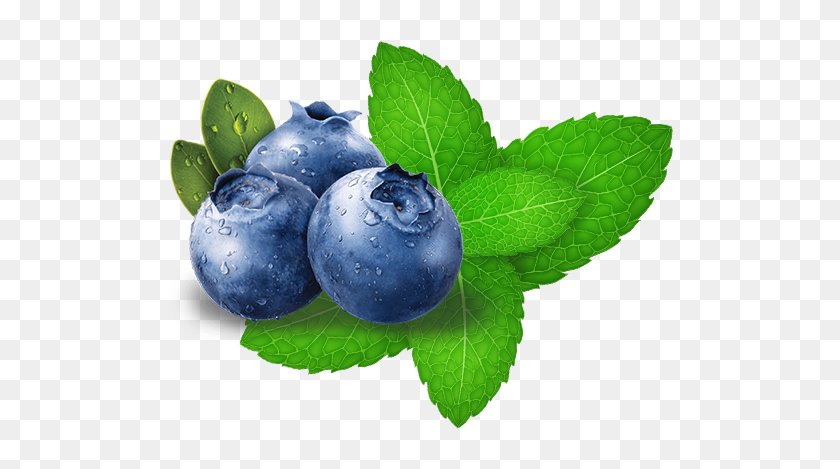 Clip Art Blueberry Cartoon Png - Jamies Witte