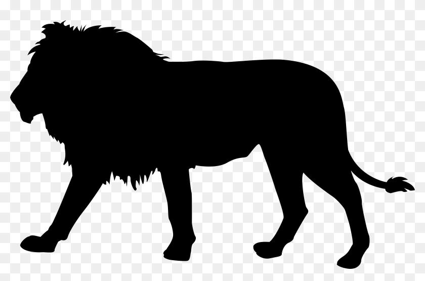 Download Lion Silhouette Clip Art Silhouette Lion King Png Transparent Png 8000x4960 6887787 Pngfind