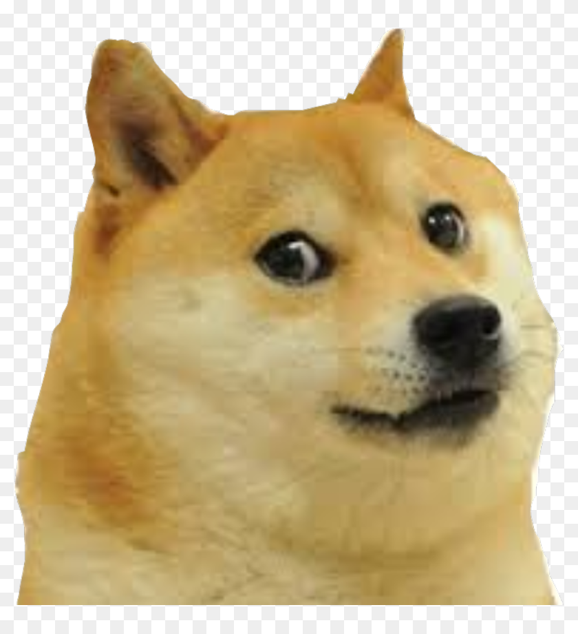 Mlg Doge Png Meme Dog Face Png Transparent Png 1024x1064 6887982 - Gambaran