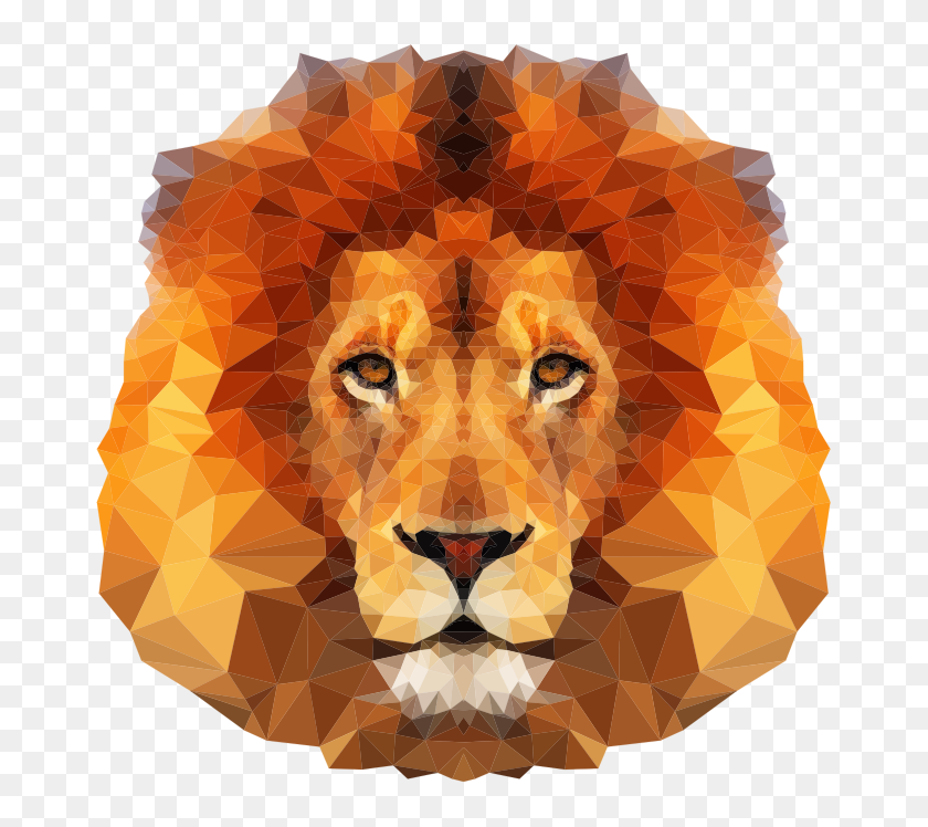 Animated Lion Face, HD Png Download - 666x668(#6887987) - PngFind