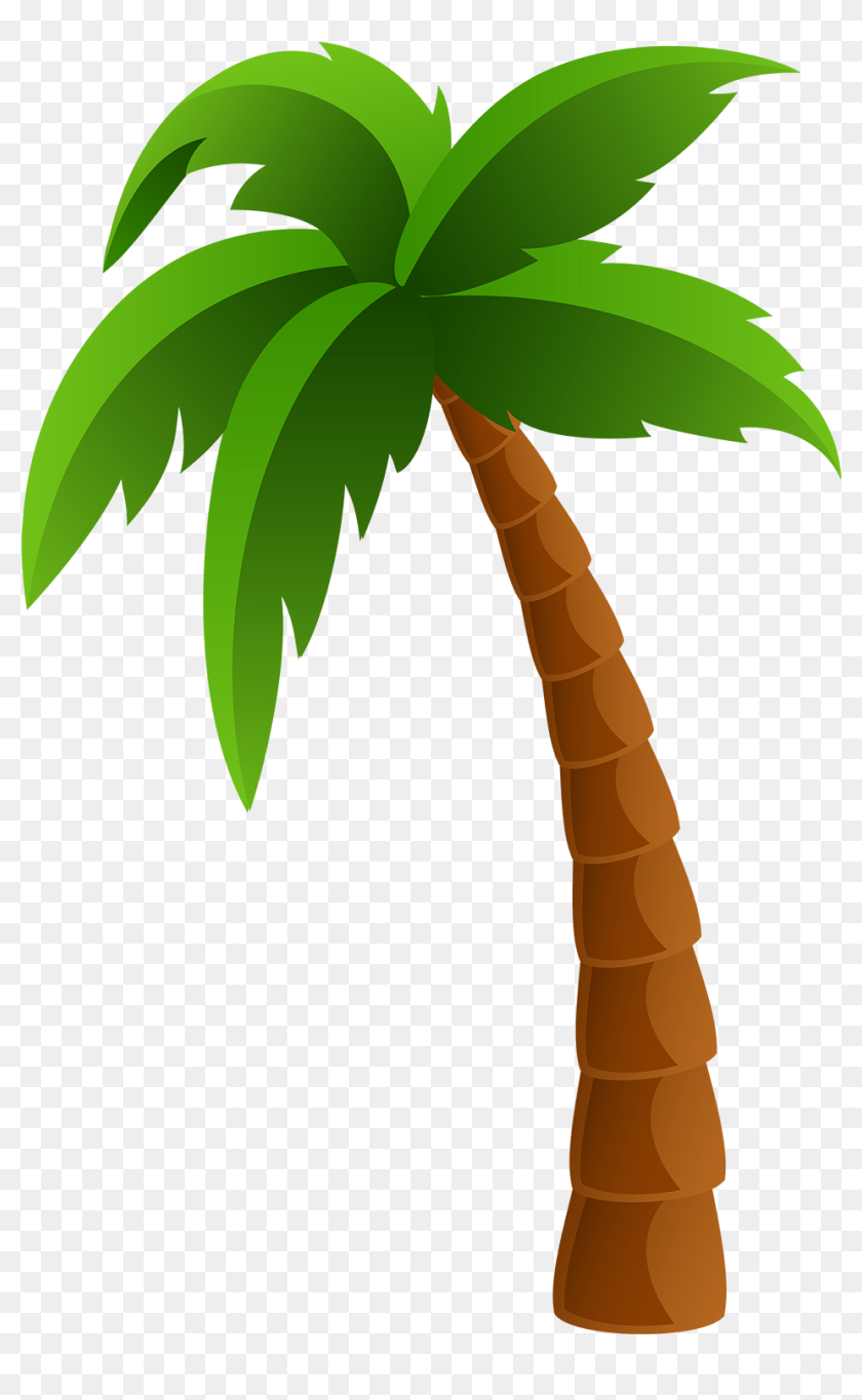 Palm Tree Clipart Png, Transparent Png - 1000x1580(#6891457) - PngFind