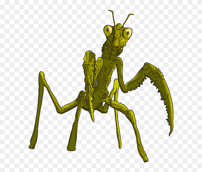 Mantis animations