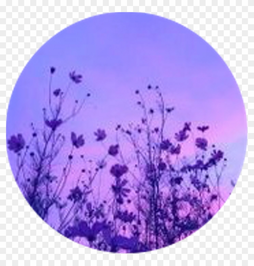 aesthetic purple circle icon flowers transparent outline pngfind clipart arrow crown sun dlf pngitem cartoon