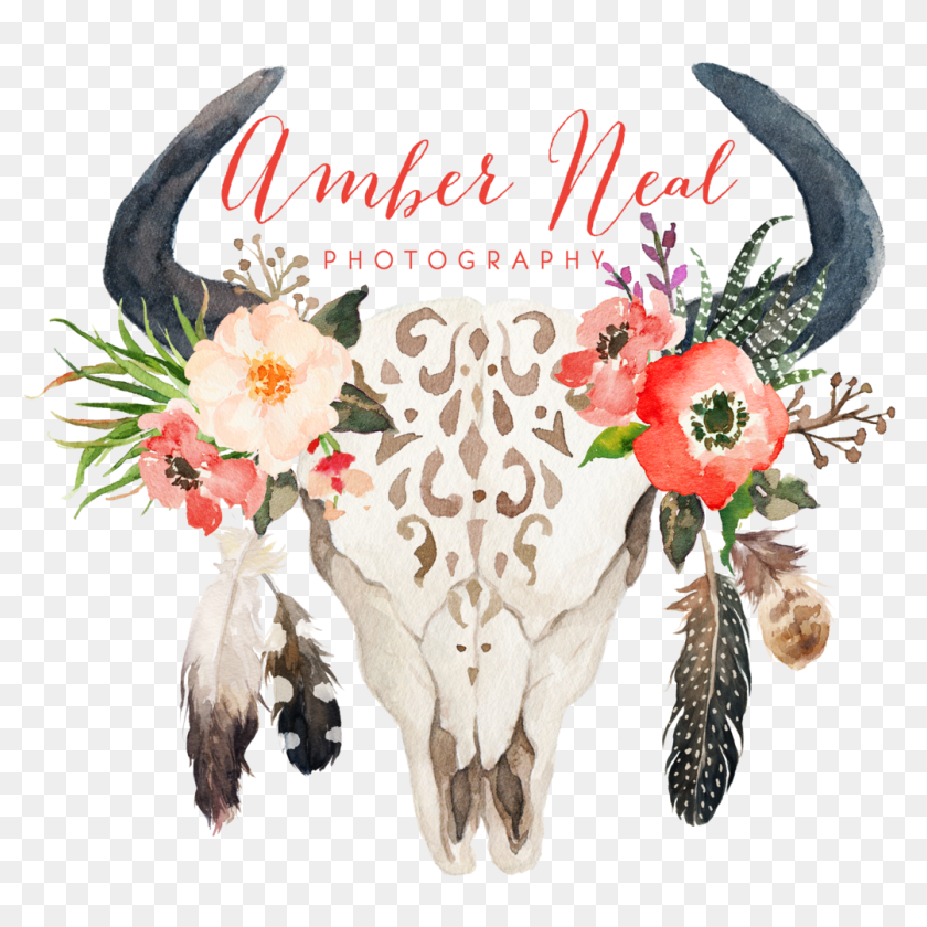 Cow Skull With Flowers And Feathers , Png Download - Watercolor Bull ...