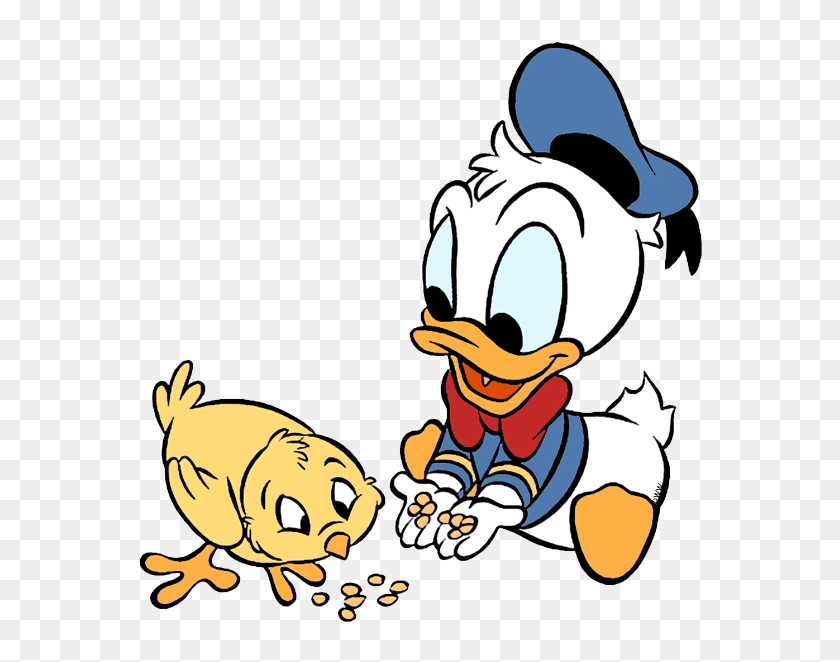 baby donald duck and daisy