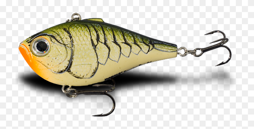 Fishing Bait,bait,fishing Lure,fish Hook,plug,spoon - Pomacentridae, HD Png  Download - 768x432(#6916957) - PngFind