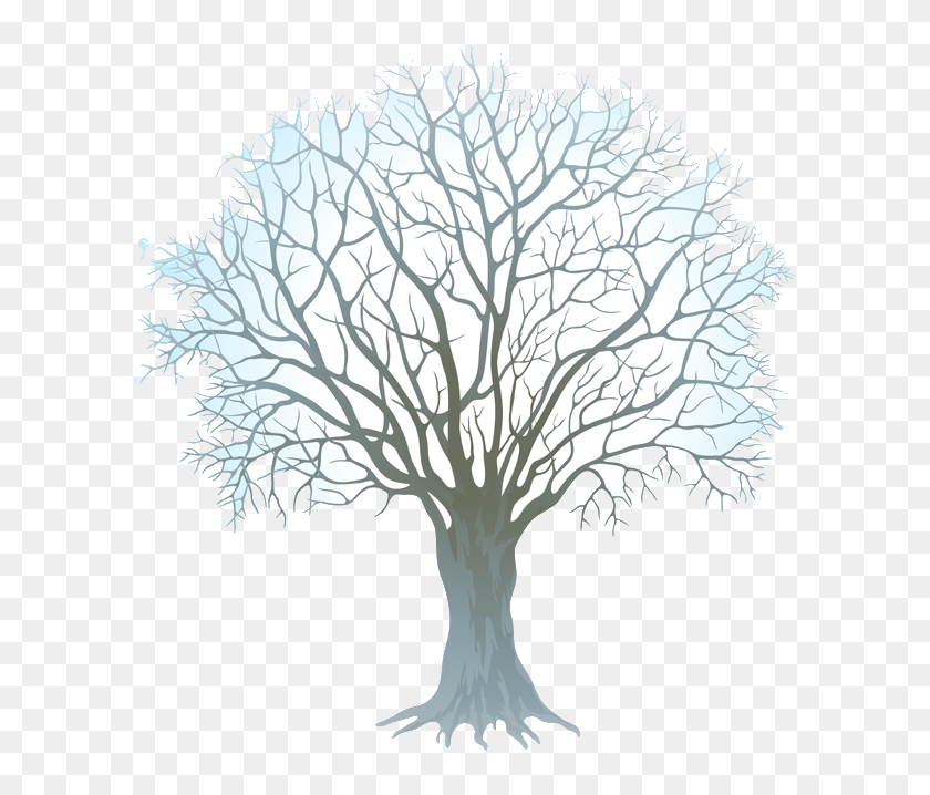 Winter Tree Clip Art Free Transparent Png - Transparent Background Winter  Clipart, Png Download - 600x664(#6923999) - PngFind