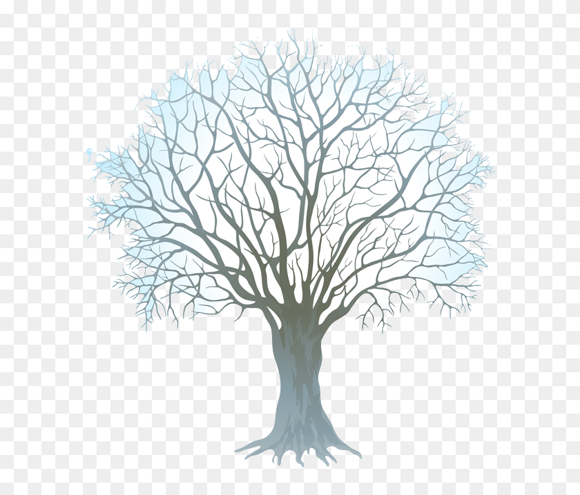 Winter Tree Clip Art Free Transparent Png - Transparent Background Winter Clipart, Png Download - 600x664(#6923999) - PngFind Winter Tree Clip Art Free Transparent Png - Transparent Background Winter Clipart, Png Download - 600x664(#6923999) - PngFind