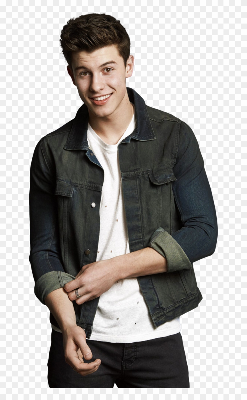 shawn mendes bobble head