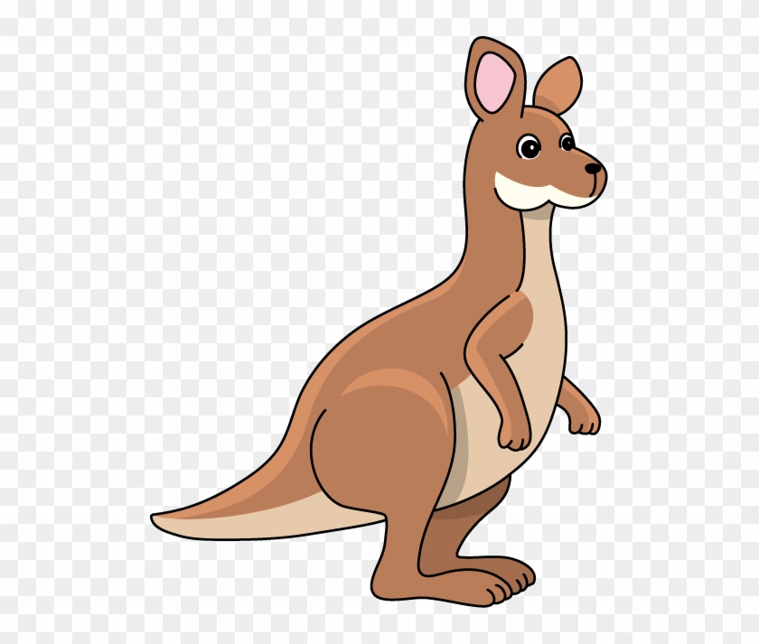 Kangaroo Cartoon Png Image Background - Kangaroo Cartoon Transparent  Background, Png Download - 507x633(#725868) - PngFind