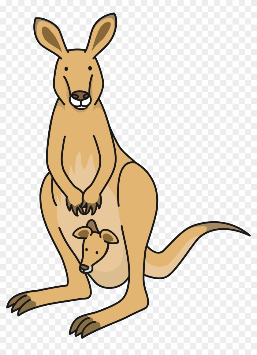 Kangaroo Feet Drawing
