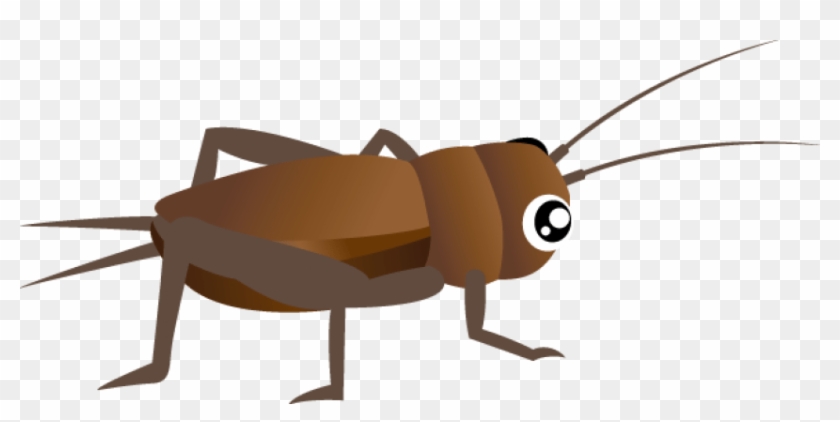 clipart jumping bug