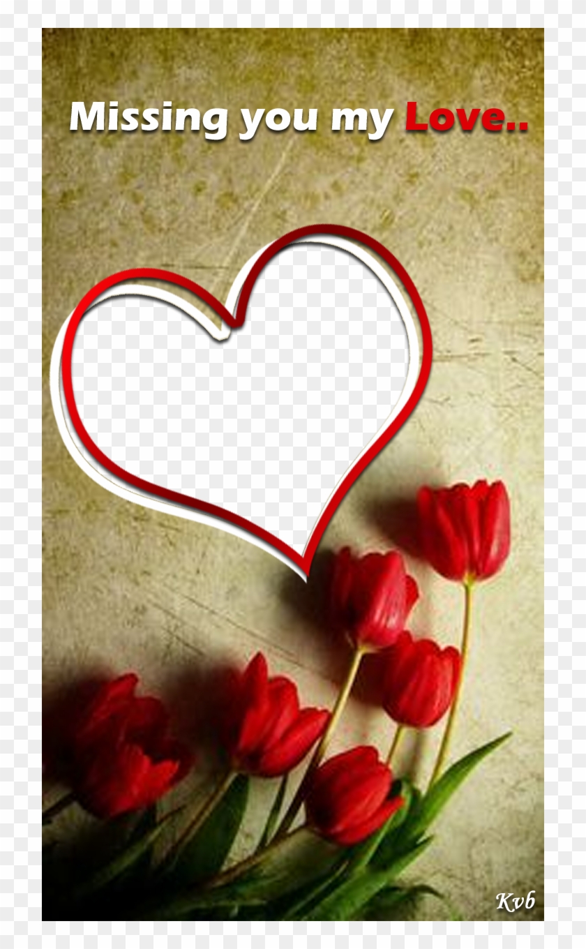 Beautiful Love Frame With Roses Beautiful Love Photo Frames Hd Png Download 7x1280 Pngfind
