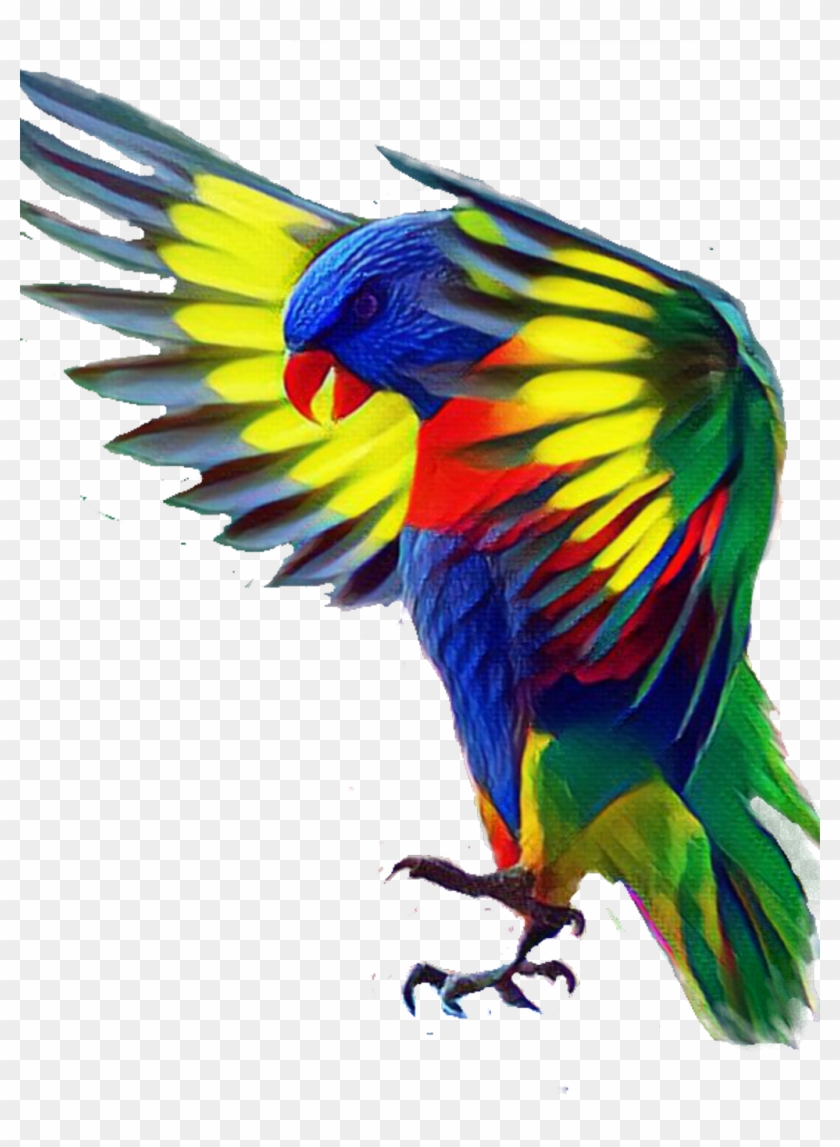 Bird Sticker - Animales Con Colores Bellos, HD Png Download - 1024x1350